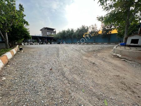 Alper Gayrimenkulden Şeyh Sinan Mahallesinde Satılık 442 M2 Arsa