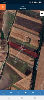 Tekirdağ Saray Demirler De Satılık 5546 M2 Tek Tapu Tarla