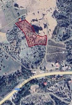 Çağlayan Emlaktan Silifke Ortaörende Satılık Zeytin Bahçesi