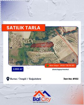 Balcity - İnegöl’e Komşu Oto Yola Ve Oylat Kaplıcalarına Yakın, Hobi Tarlası