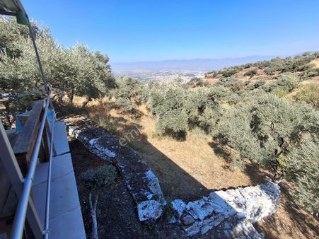 Akar Emlak Ofisinden Tire Manzaralı, Ho