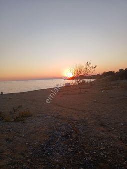 Side 540 Oda14 Dönüm Tapulumasrafsız80 Milyon Euro