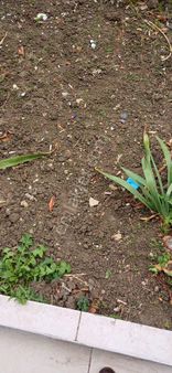 Silivri Gümüşyakada Satılık.imarlı Arsa