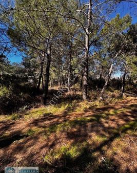 Kaş Gelemiş Acil Satılık 2b Tarla...