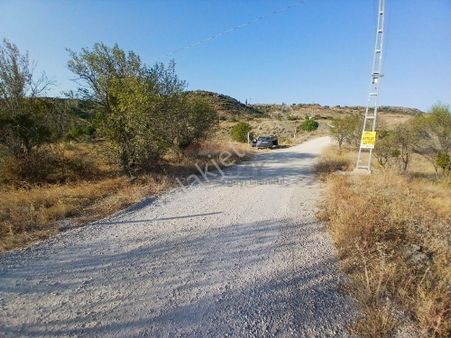 Güvenay - Çorum Çomar Barajı Yukarısı Satılık 3835 M2 Bağ