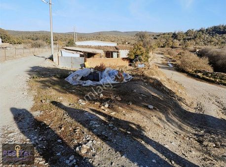 Çanakkale Merkez Dümrek Köyünde 218 M2 Arsa