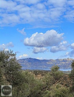 Milas Pinarcikta Göl Manzaralı 19 Dönüm Kaçmaz Fırsat