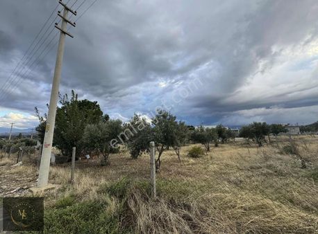 Sarayköy Köprübaşında Muhtarım Emlaktan Keyfinize Göre Arsa