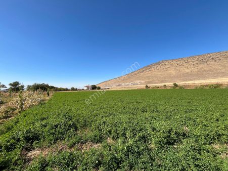 Öz Gaye Emlaktan Develi Zile Aşağıbağlar Mevkiinde Satılık Tarla