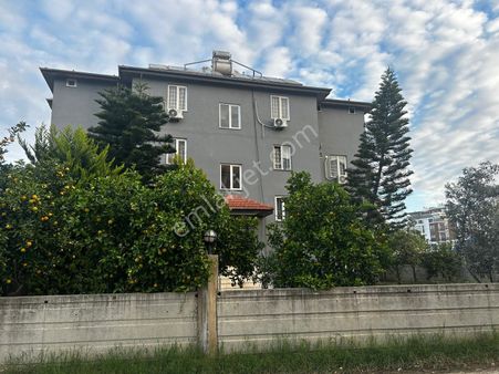 Ruhsatlı Satılık Rojman.