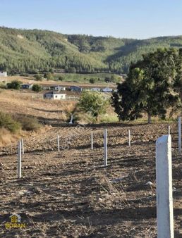 Boran Gayrimenkulden Salbaşta 2 Adet Yan Yana Satılık Arazi