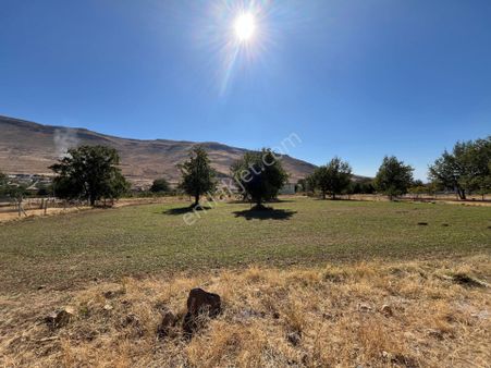Öz Gaye Emlaktan Develi Zile Bağaltı Mevkiinde Satılık Bahçe