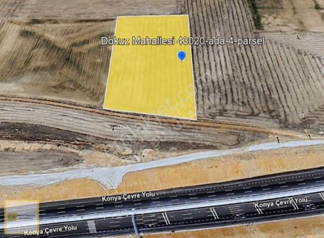 Enes Büyükaydın'dan Selçuklu Dokuz'da Satılık Tarla 12415 M2