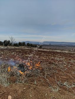 Çözüm Emlak’tan Fırsat Arazisi