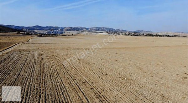 Alkan'dan Mülk'te Tek Tapu Tarla