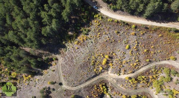 Orhaneli Göynükbelen 40 Dönüm Yolu Ve Suyu Olan Tarla