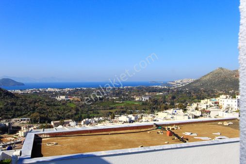 S-a-k-a-l-l-ı-dan Turgutreiste Memura Uygun 1+1 Kiralık Daire