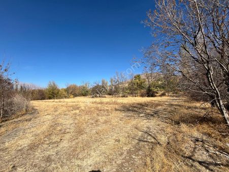 Öz Gaye Emlaktan Develi Zile Maşataltı Mevkinde Satılık Bahçe