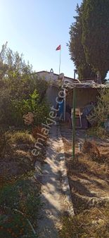 Didim Akyeniköyde Satılık 570 M2 Arsa İçinde 2+1 Prefabrik Ev