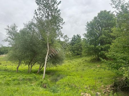 Kırklareli Armağan Satılık Tarla