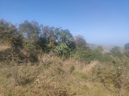 Samsun İlkadım Kadamut'ta Satılık Tek Tapu Tarla