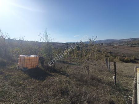 Samsun Kavak Muratbeyli'de Satılık Tek Tapu Tarla