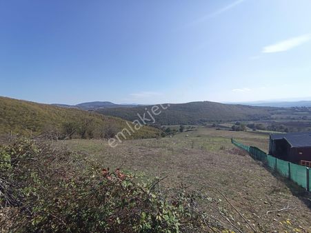 Samsun Kavak Karaaslan'da Satılık Tek Tapu Tarla