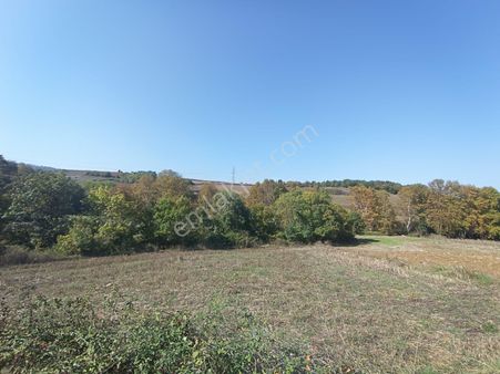 Samsun İlkadım Kadamut'ta Satılık Tek Tapu Tarla