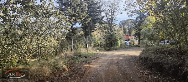 Müstakil Tapu Yol Su Elektrik Ve Avcı Kulübesi Var