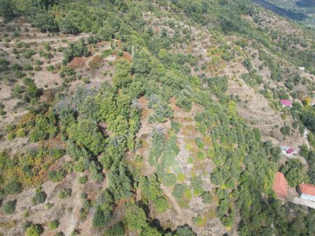 Antika Gayrimenkul'den Tekke Mahallesinde Satılık Kestanelik