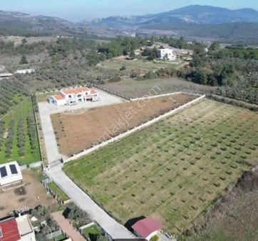 Yeniköyde Aydın Yoluna 200 M