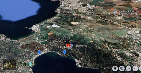 Bandırma Edincik Mahallesi 1070 M2 Eşsiz Zeytinlik