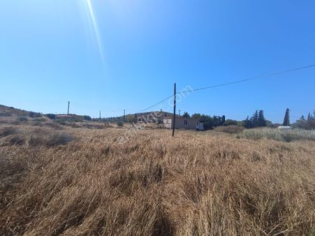 Taş Emlak'tan Badavutta 550m2 Arsa