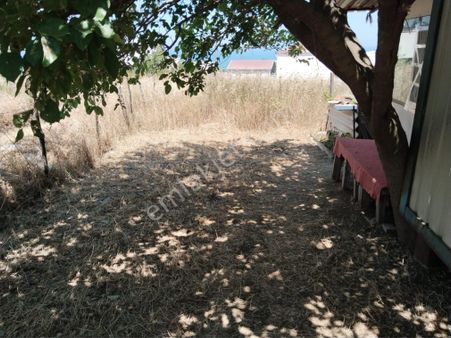 Bursa Mudanya Mesudiye Mevkinde Satılık Tarla