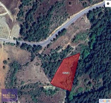 Orhaneli Dağgüney Satılık Tarla