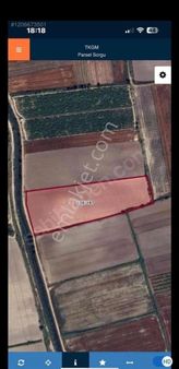 Serik Boğazkentte Kaçırılmayacak 22,5 Dönüm Tarla