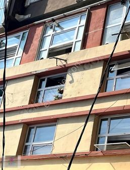 Kentsele Gîrmişbînada Sonkat Asansòrlú Son Kat Mütaîtle Anlaşıld