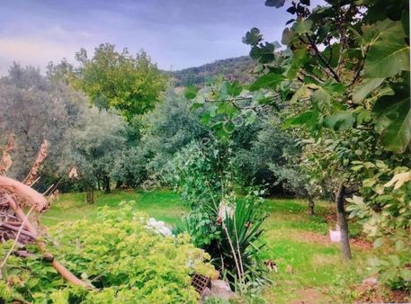 Balıkesir Gönen Dereköyde Satılık Müstakil Ev (eşyalı)