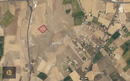 Dora Gayrimenkul'den Değirmenli'de Yatırımlık Tarla Elma Bahçesi