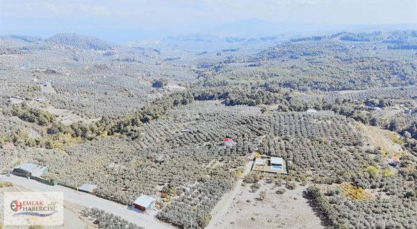 4.450m2 Çepni'ye 500 Mt. Yola Cephe , Ormana Sınır ,fırsat Arazi