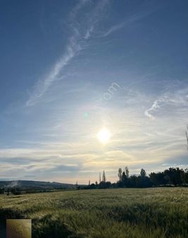 Çakırdan Yol Kenarında Yatırımlık Hisseli Arsa