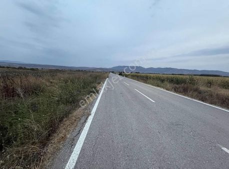 Alibeyli Ovasında Verimli 9600m2 Tarla