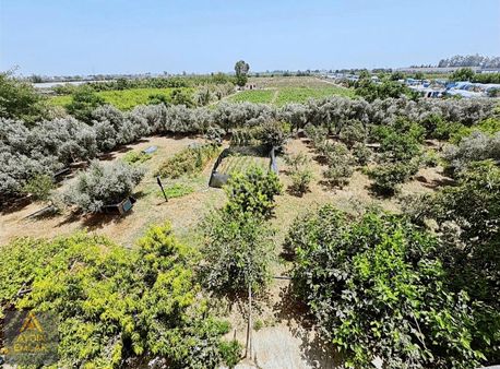 Depolama*bahçe#ev#arsası**aydın'dan*