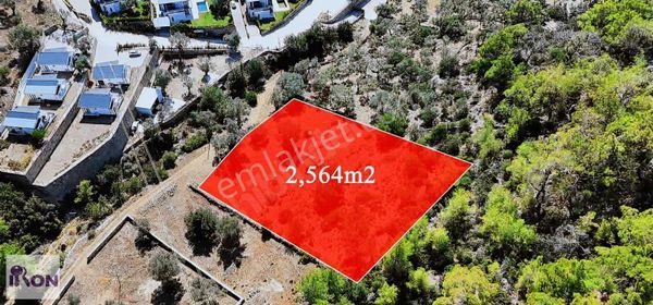 Bodrum Kızılağaç'ta Satılık 2.565 M2 Arazi