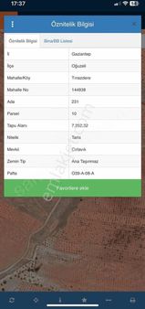 Tınazdere De Yatırımlık Zeytin Tarlası Tek Tapu