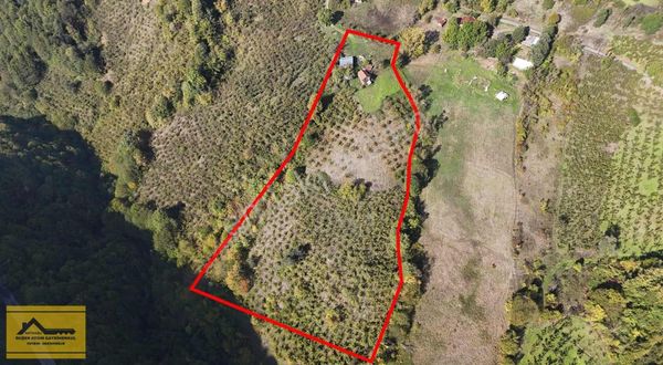 Ruşen Aydın Gayrımenkul'den Kaynaşlı Tavak Köyünde Satılık Arsa