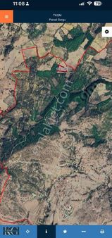 Bergama Dereköyde Satılık 7.000 M2 Tarla