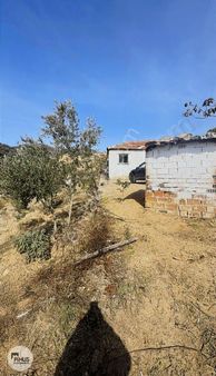 Pinus Gayrimenkulden Satılık Bahçeli Ev