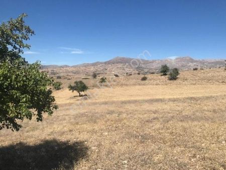 Murat Türkmen'den Isparta_yalvaç'ta Satılık Yatırıma_uygun Sadece_iki_ortaklı 5700_m2_tarla