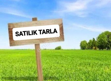 Murat Türkmen'den Isparta_yalvaç'ta Satılık Yatırıma_uygun Hesaplı 4000-m2_tarla